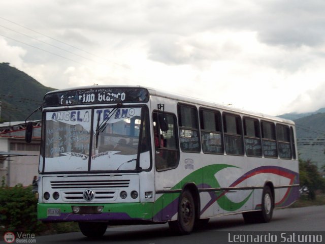 A.C. de Transporte Encarnación 393 por Leonardo Saturno