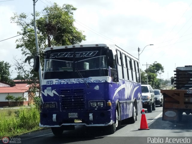 A.C. de Transporte Encarnaci�n 135 por Pablo Acevedo