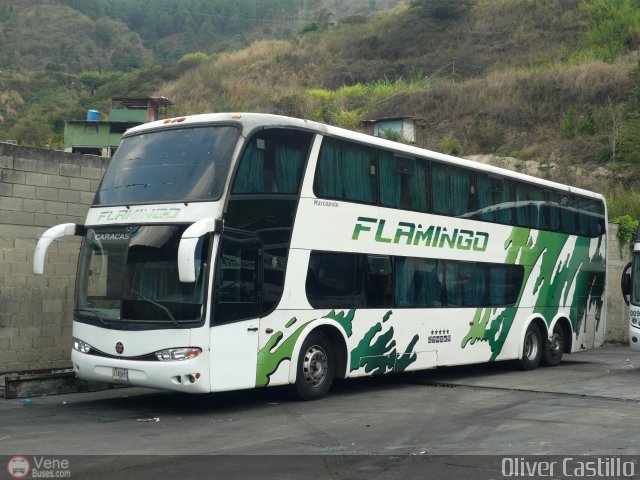 Expresos Flamingo 0141 por Oliver Castillo