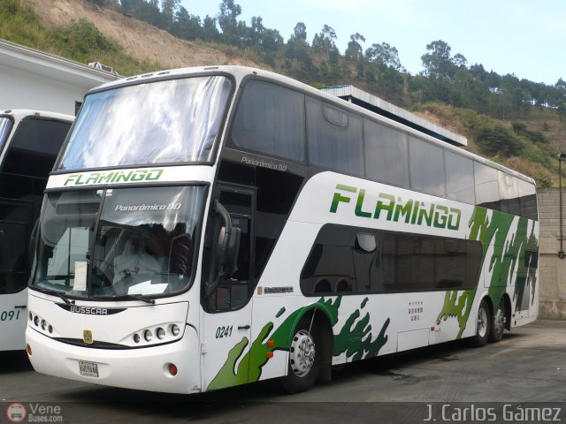 Expresos Flamingo 0241 por J. Carlos G�mez