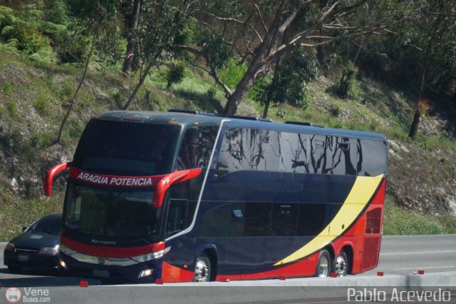 Tigres de Aragua B.B.C. 02 por Pablo Acevedo