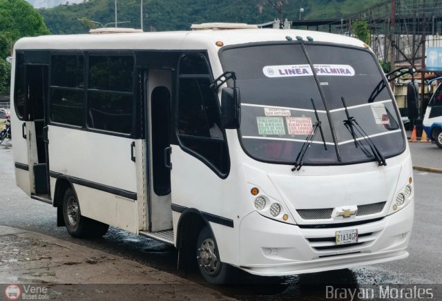 TA - A.C. Autos por puesto Lnea Palmira 050 por Jerson Nova