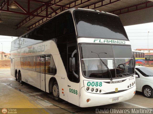 Expresos Flamingo 0088 por David Olivares Martinez