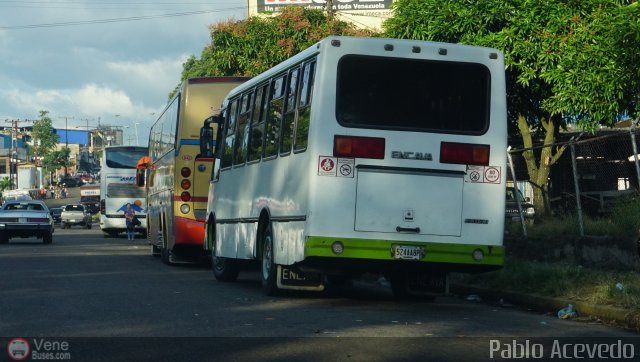 A.C. Transporte Paez 002 por Pablo Acevedo