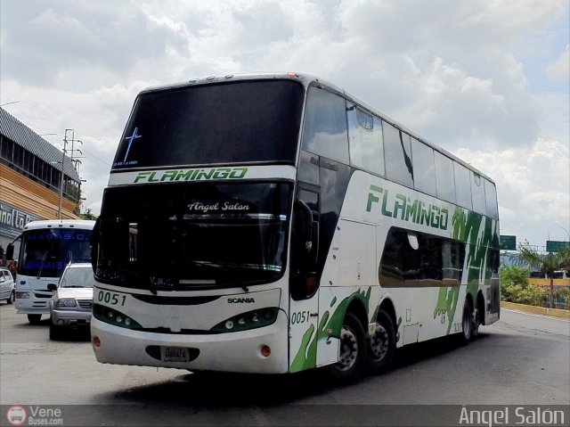 Expresos Flamingo 0051 por �ngel Sal�n