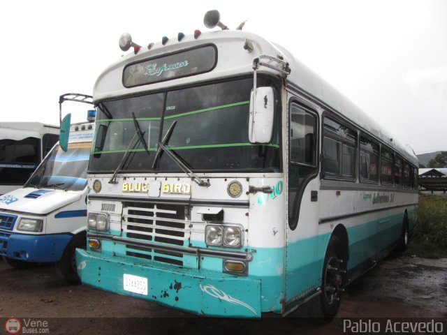 Expresos Bolivarianos 10 por Pablo Acevedo