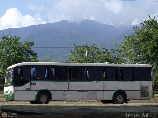 A.C. de Transporte Encarnaci�n 310 por Jes�s Valero