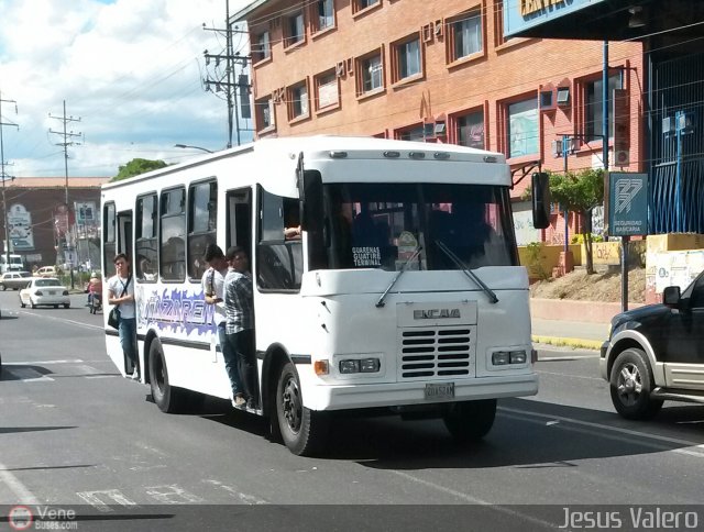 MI - Línea Terepaima 100 por Jesús Valero