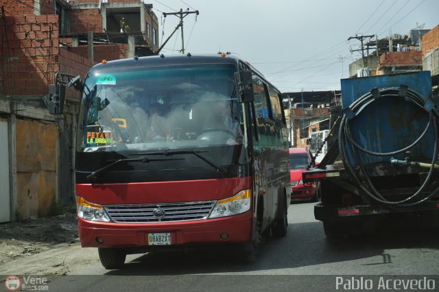 Particular o Desconocido 08A por Pablo Acevedo