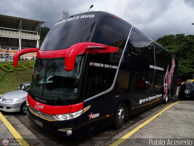 Tigres de Aragua B.B.C. 01 por Pablo Acevedo