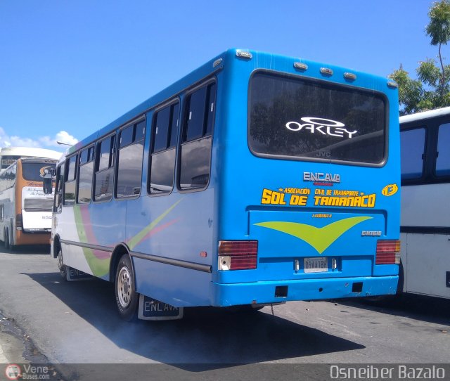 A.C. de Transporte Sol de Tamanaco 13 por Osneiber Bazalo