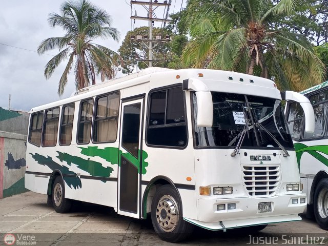 Particular o Desconocido JS-993 por Josue S�nchez