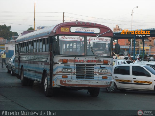 Colectivos Guana C.A. 02 por Alfredo Montes de Oca