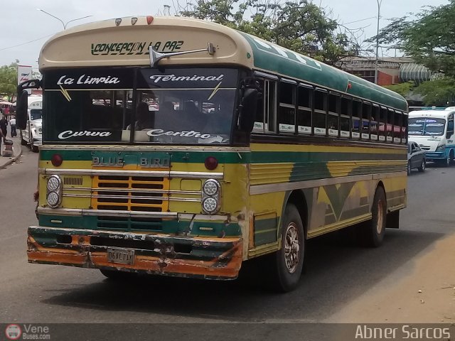 ZU - Colectivos Concepci�n 071 por Abner Sarcos