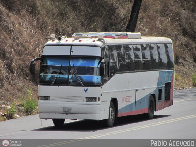 Sin identificacin o Desconocido 99 por Pablo Acevedo