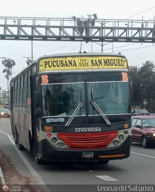 E.T. y Servicios Guadulfo Silva Carbajal 043 por Leonardo Saturno