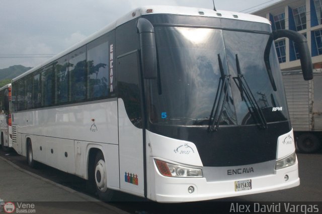 Expresos Pegamar 2027 por Alex Vargas