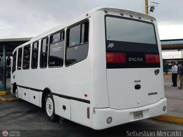 Foto �nibus Brasil.com, por Sebasti�n Mercado