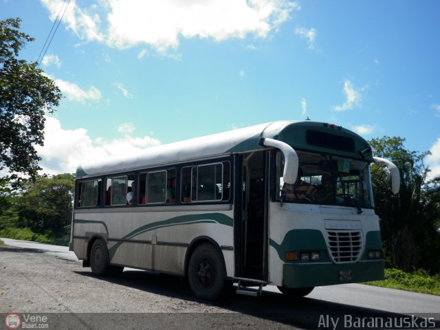 MI - A.C. de Transporte Don Pedro Gual 16 por Aly Baranauskas