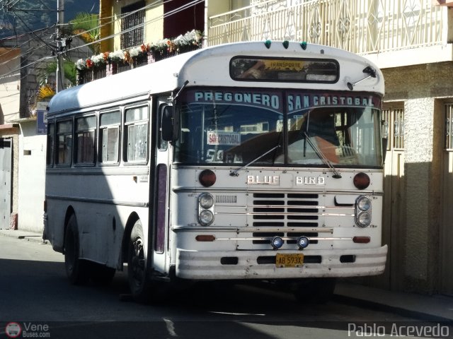 Transporte Uribante 99 por Pablo Acevedo