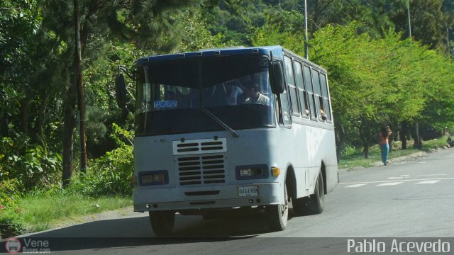 MI - A.C. El Araguaney 96 por Pablo Acevedo