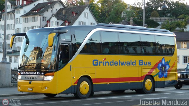 Grindelwald Bus  por Joseba Mendoza