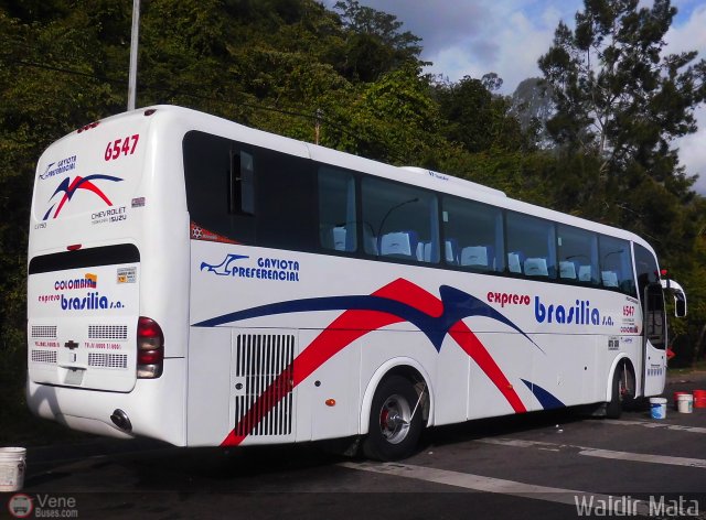 Expreso Brasilia 6547 por Waldir Mata