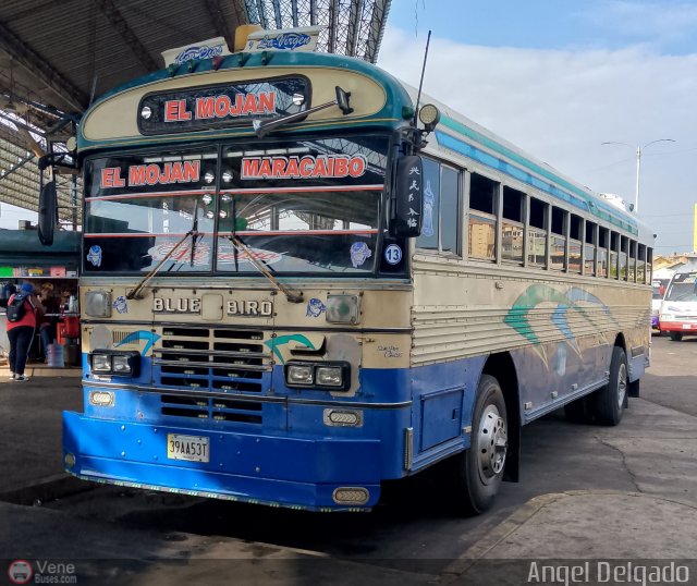 Colectivo San Rafael 13 por �ngel Delgado