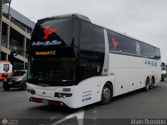 Los P�jaros de Lara 0224 por Alvin Rond�n