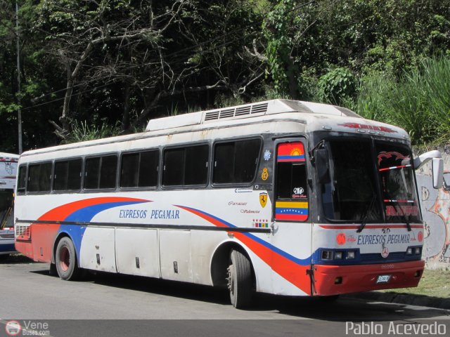 Expresos Pegamar 0006 por Pablo Acevedo