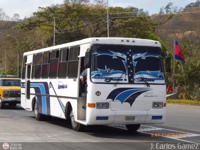 Expresos Marvalca 14 por Alvin Rond�n
