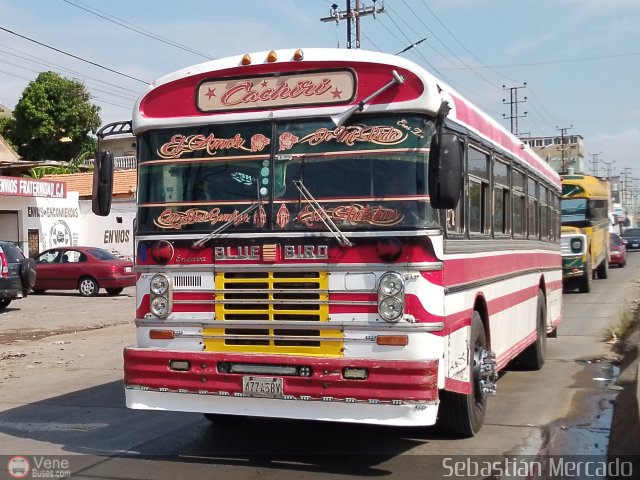 Colectivos Cachiri 15 por Sebasti�n Mercado