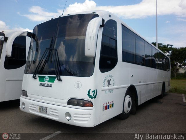 Servicios Especiales del Centro C.A. 01 por Aly Baranauskas