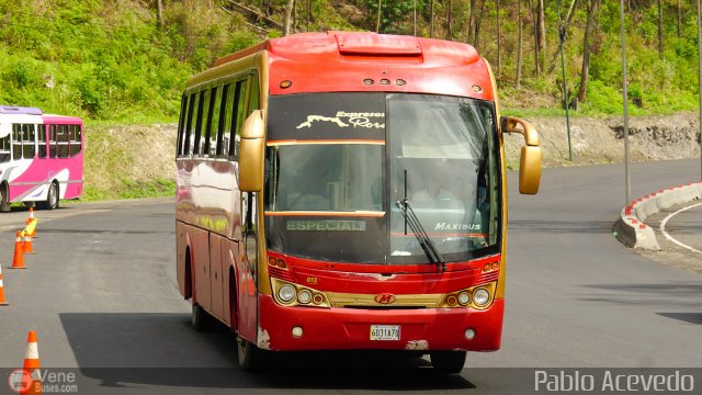 Expresos Roraima 2020 C.A. 013 por Pablo Acevedo