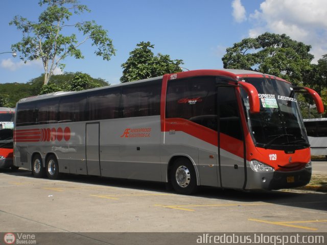 Aeroexpresos Ejecutivos 1129 por Alfredo Montes de Oca