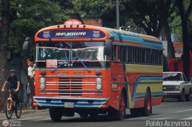 DC - A.C. de Transporte Roosevelt 033 por Pablo Acevedo