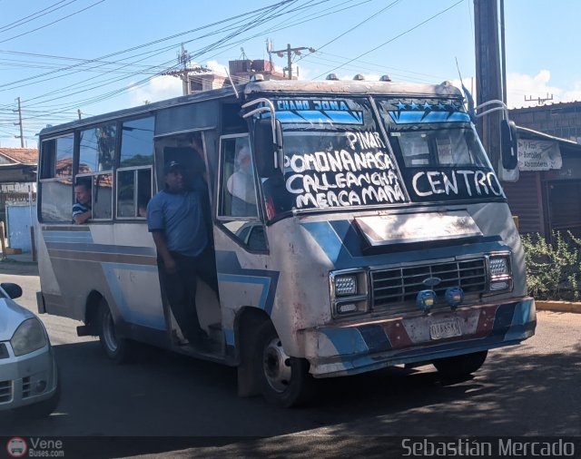 ZU - Colectivo Pomona 19 por Sebastin Mercado