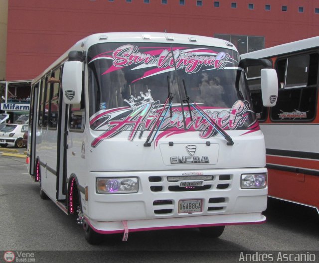 AR - Rosa Mstica de Cagua C.A. 37 por Andrs Ascanio