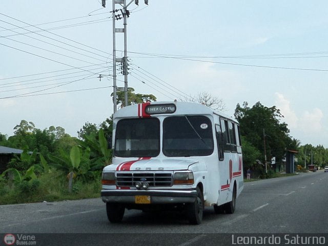 Línea El Castaño 07 por Leonardo Saturno