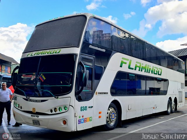 Expresos Flamingo 0341 por Josu� S�nchez