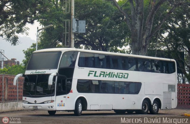 Expresos Flamingo 0141 por Marcos David M�rquez