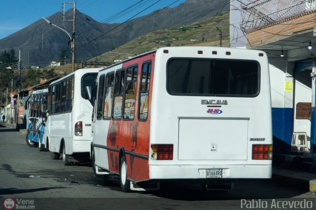 L�nea Cultura 40 por Pablo Acevedo
