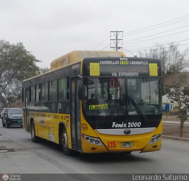 E. de S. M�ltiples F�nix 2000 S.A.C. 215 por Leonardo Saturno