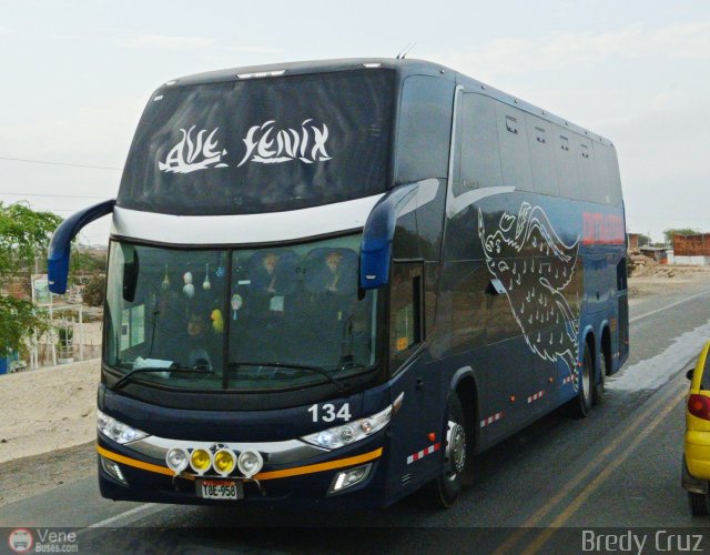 Empresa de Transporte Ave Fnix 134 por Bredy Cruz