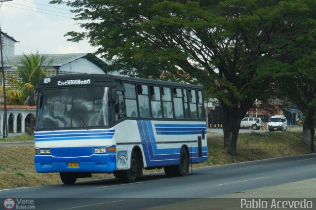 CA - Unin Campo Carabobo 020 por Pablo Acevedo