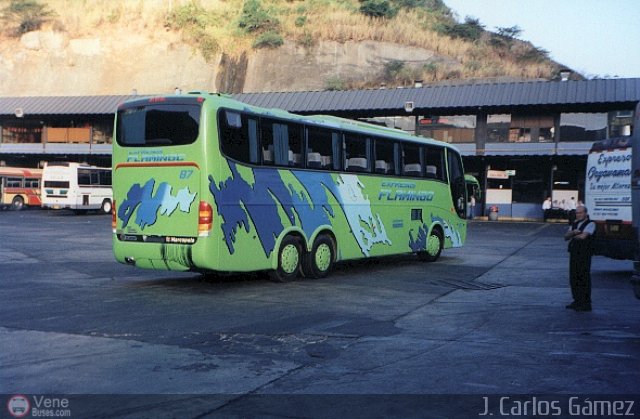 Expresos Flamingo 87 por J. Carlos G�mez