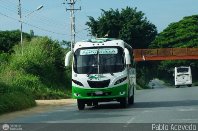 A.C. Portuguesa 046 por Pablo Acevedo