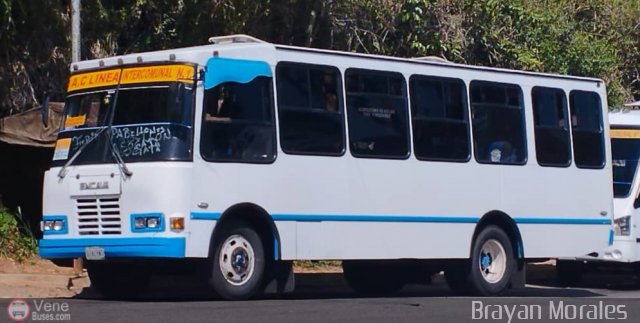 TA - A.C. L�nea Intercomunal 19 por Jerson Nova