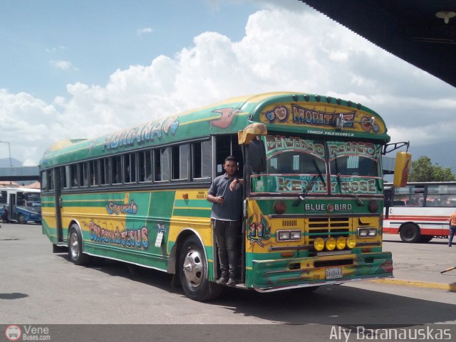 Transporte Palo Negro La Morita 2 011 por Aly Baranauskas