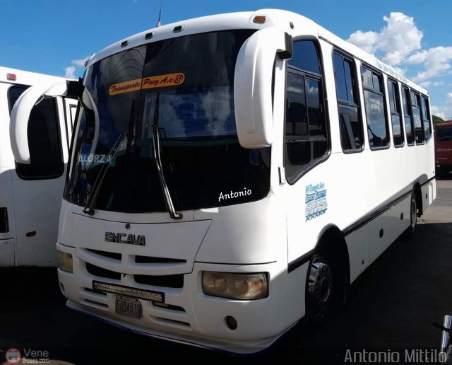 A.C. Transporte Paez 081 por Antonio Mittilo